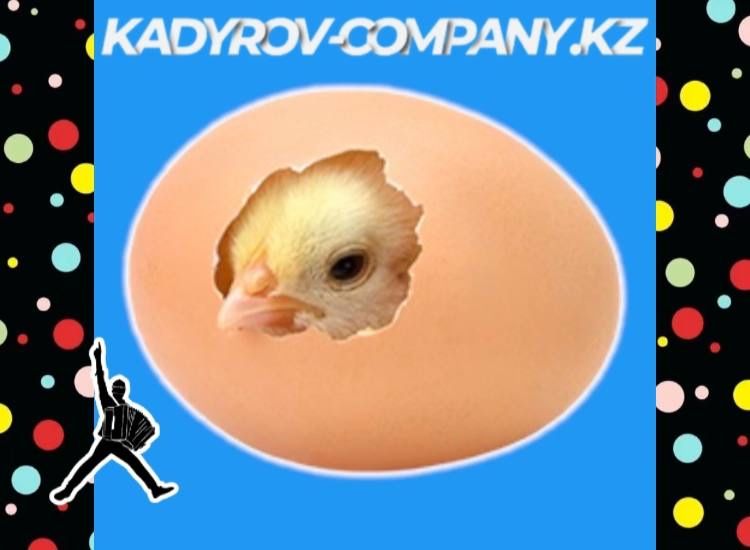 Инкубационное яйцо Ломан браун несушка привозной Россия ИЯ10