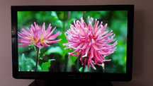 Panasonik TX-PR42U30
