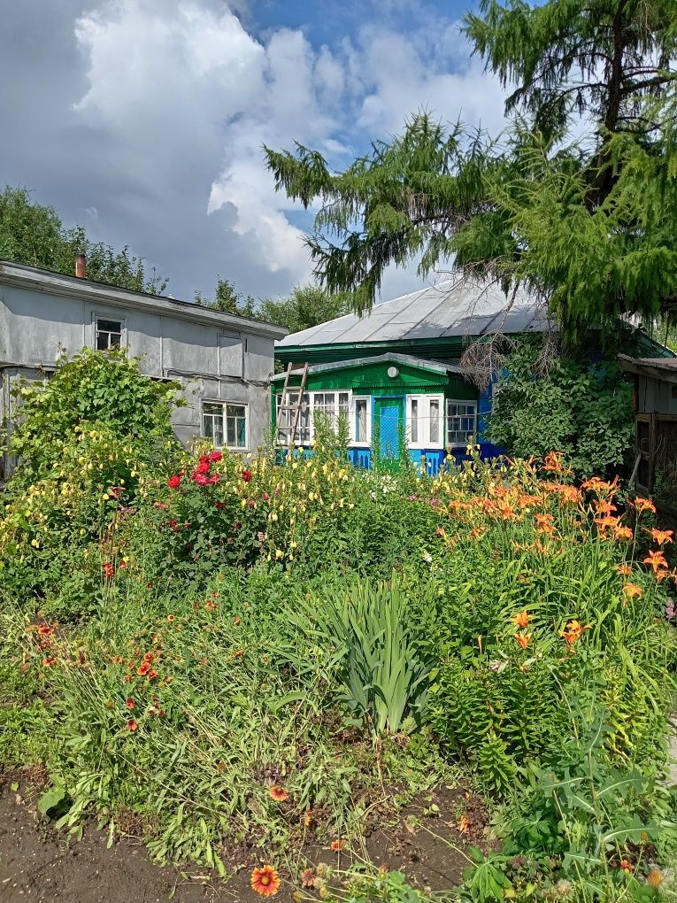 Продам дом в старой Согре