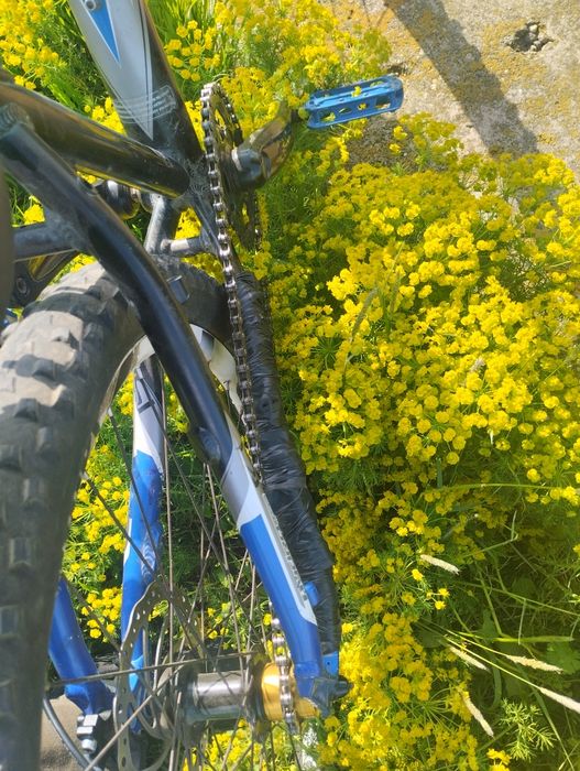 Scott aspect 60 Dirt jumper