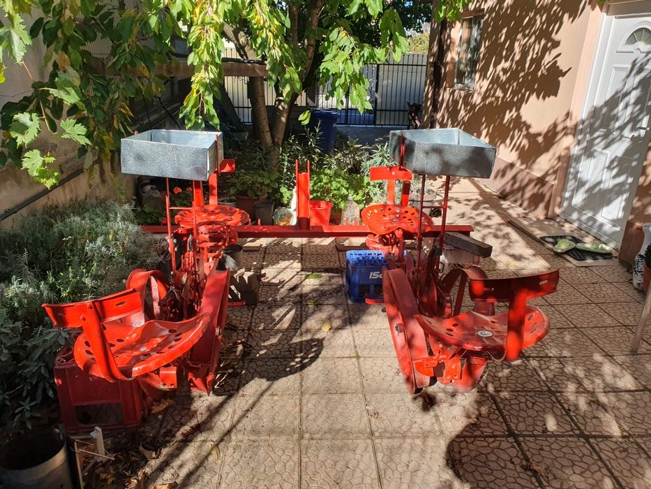 Semanatoare lavandă