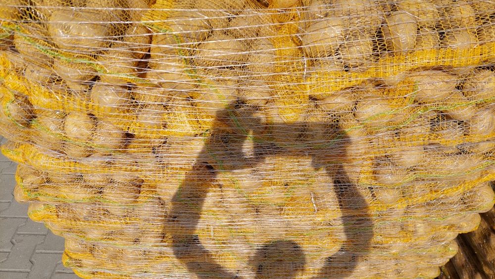 Cartofi pol cantități mari toate soiurile