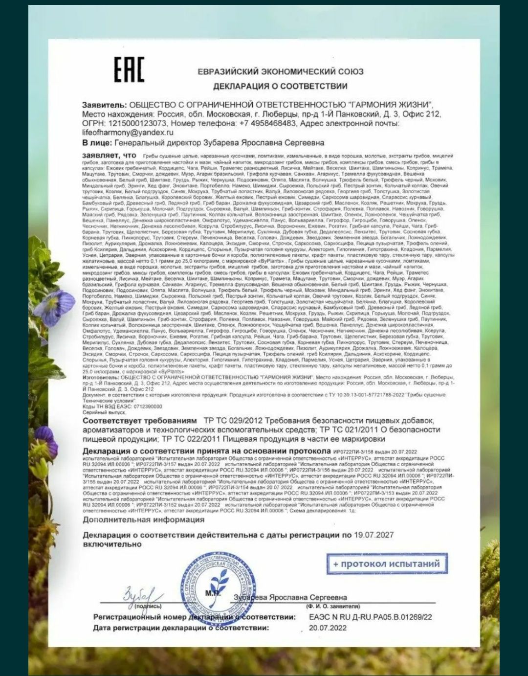 Lion's mane, он же Ежевик ежовик Гребечатый - 50% мицелий 50 плоды