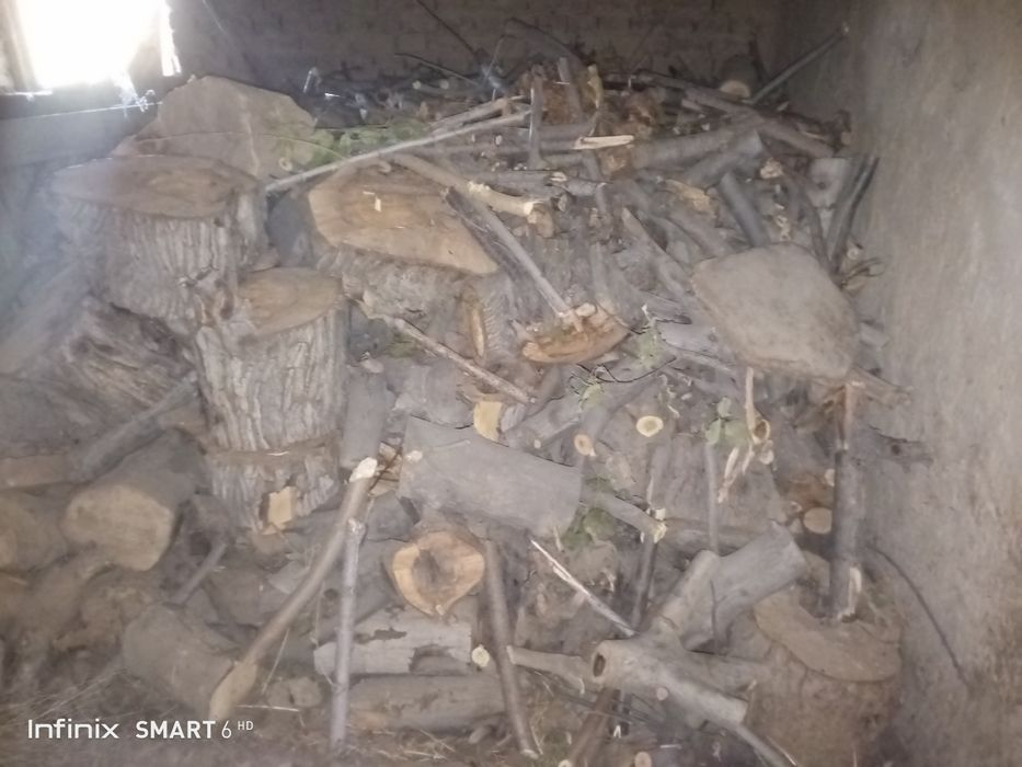 Мевали дарахт ўтинлари