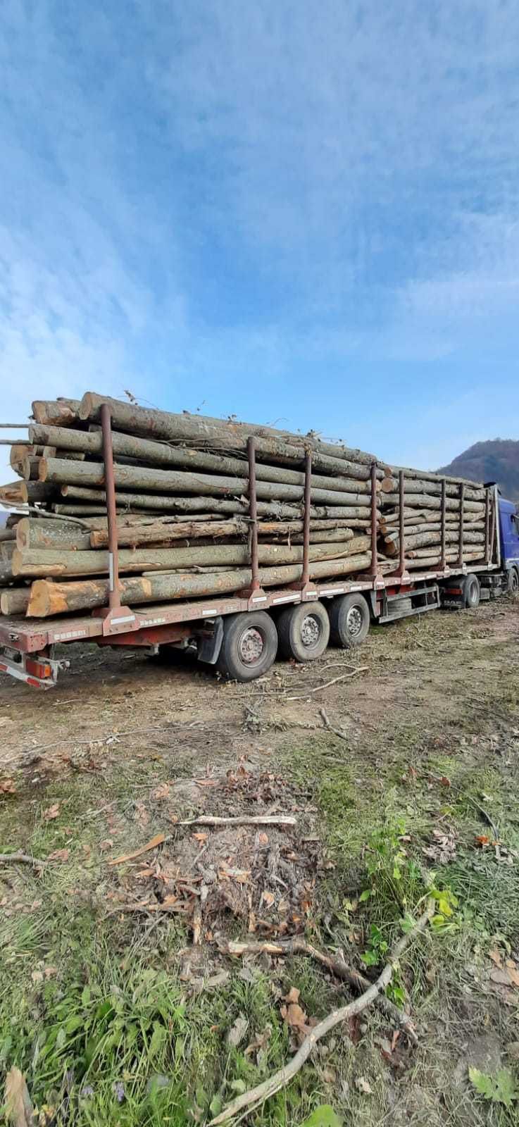 Vand Lemne de foc cu posibilitatea de plata prin cardul de energie