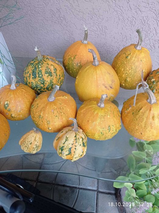 Кратуни за украса,декорация ,хелуин