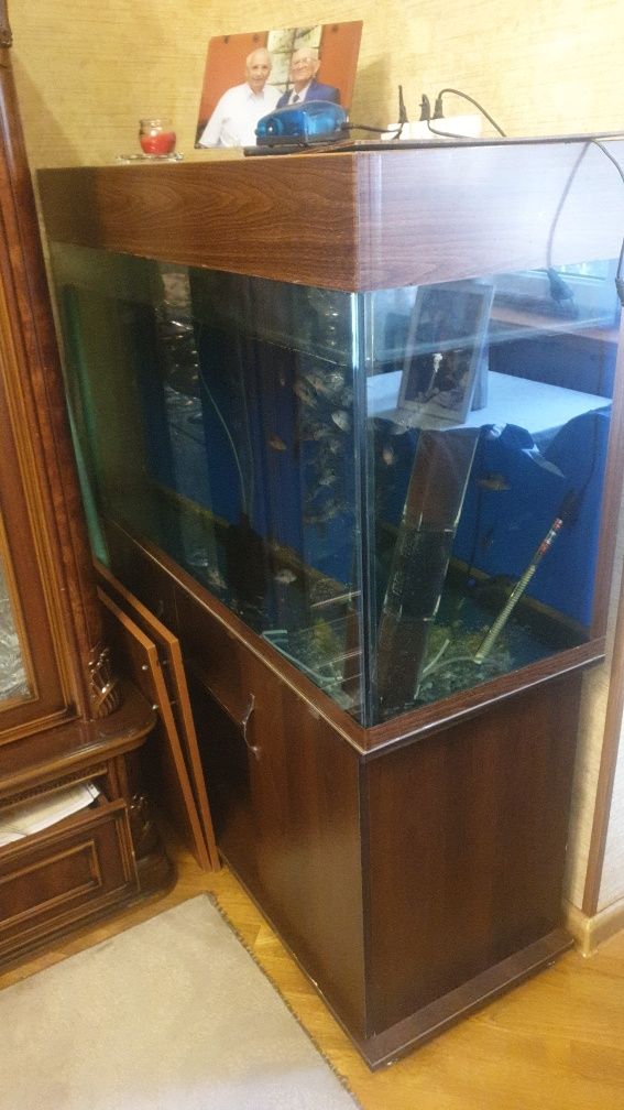 Продам аквариум с тумбой ,350 литров..В комплекте лампа,фильтр,обогрев