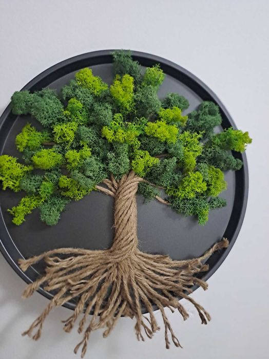 Tablouri cu licheni naturali stabilizati