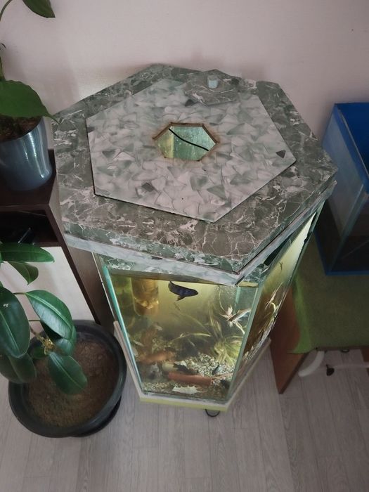 Аквариум с рыбками