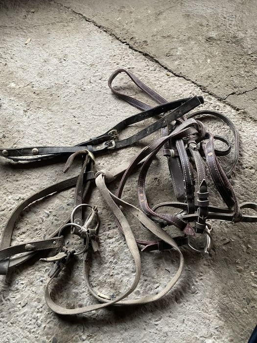 Жуген сатылады срочна