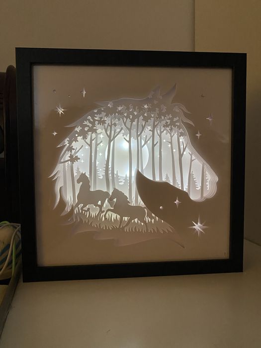 Tablouri 3d cu lumina (shadowbox)