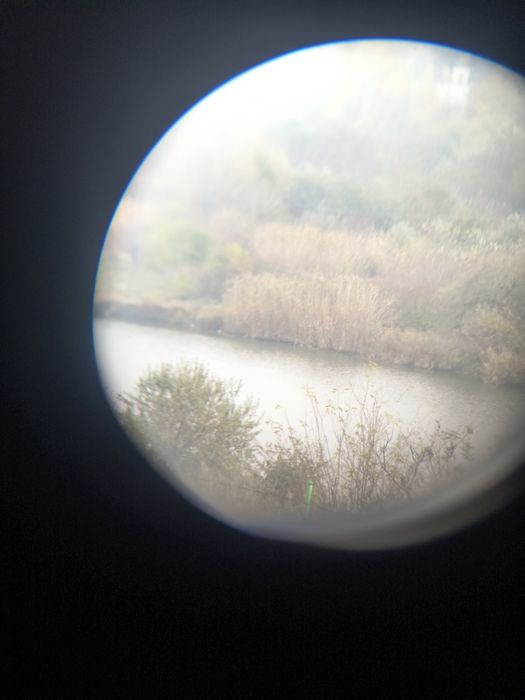 Ofertă Monoclu Levenhuk Wise Plus 10×42