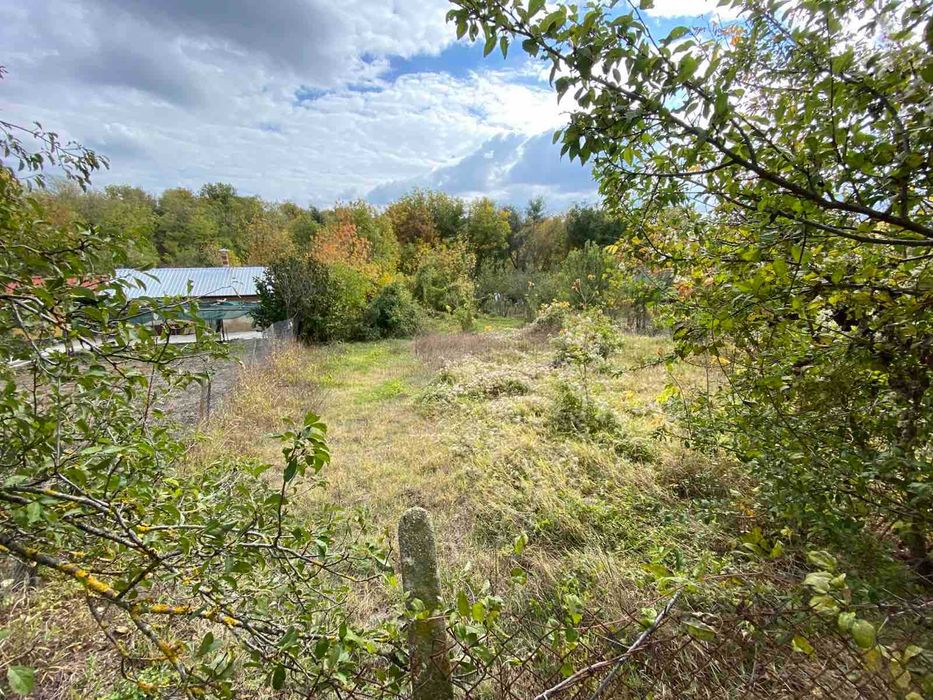 Парцел /лозе/ в м-т Изгрев на Разград