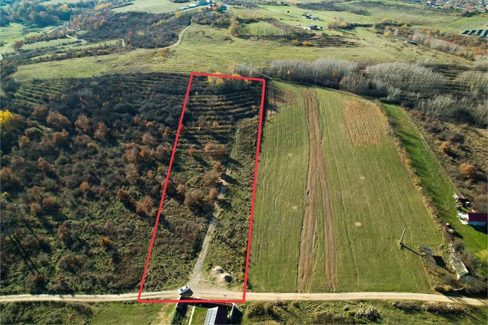 Teren 7744 mp la Coada Noului Lac de Agrement Băile Felix