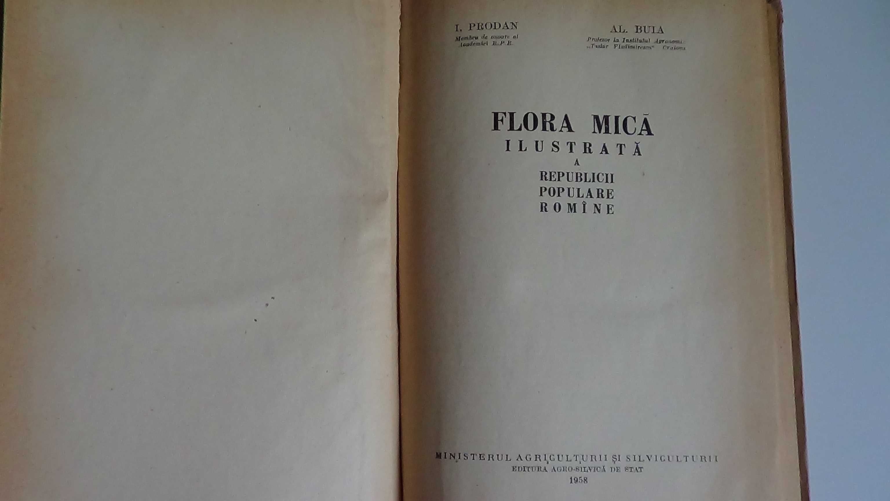 Flora Mica Ilustrata a R.P.R. de I.Prodan-Al.Buia  1958