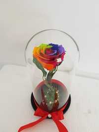 Trandafir criogenat multicolor 25 cm