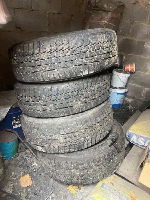 Зимний шина дискасы мен