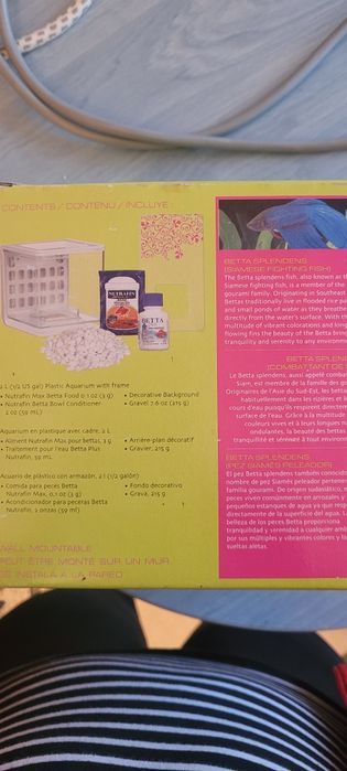 Acvariu peste betta