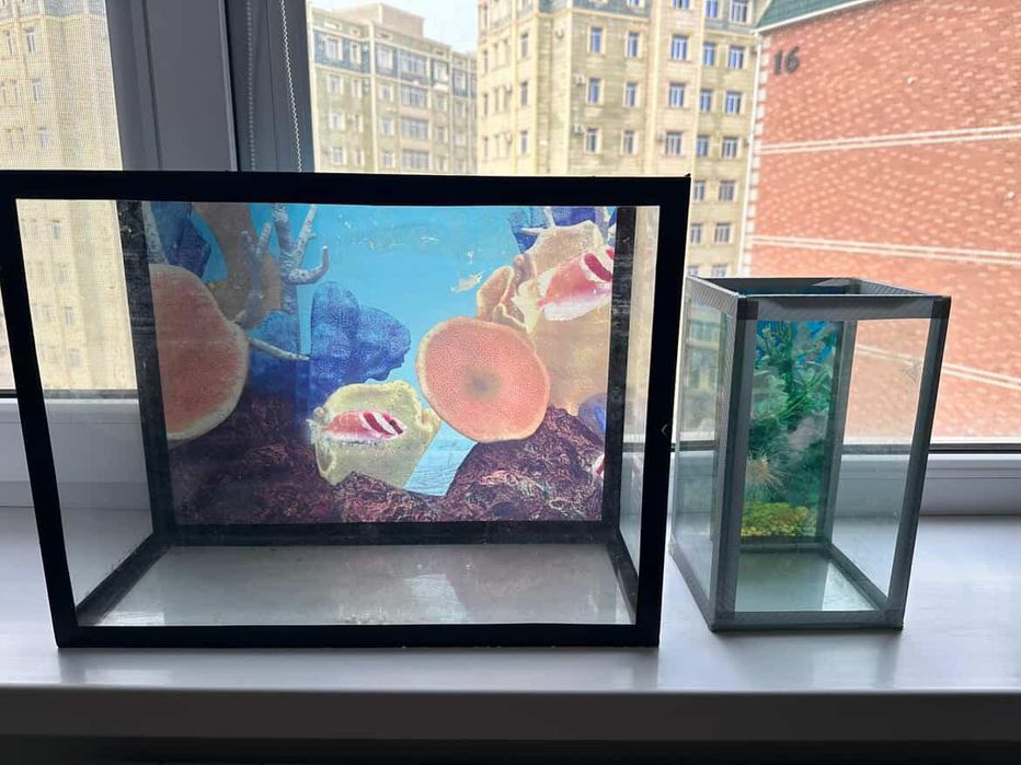 Аквариум для рыб