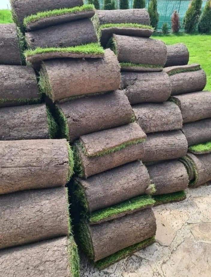 Gazon rulou natural