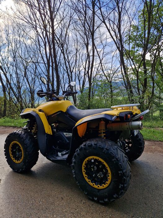 Can am renegade 800