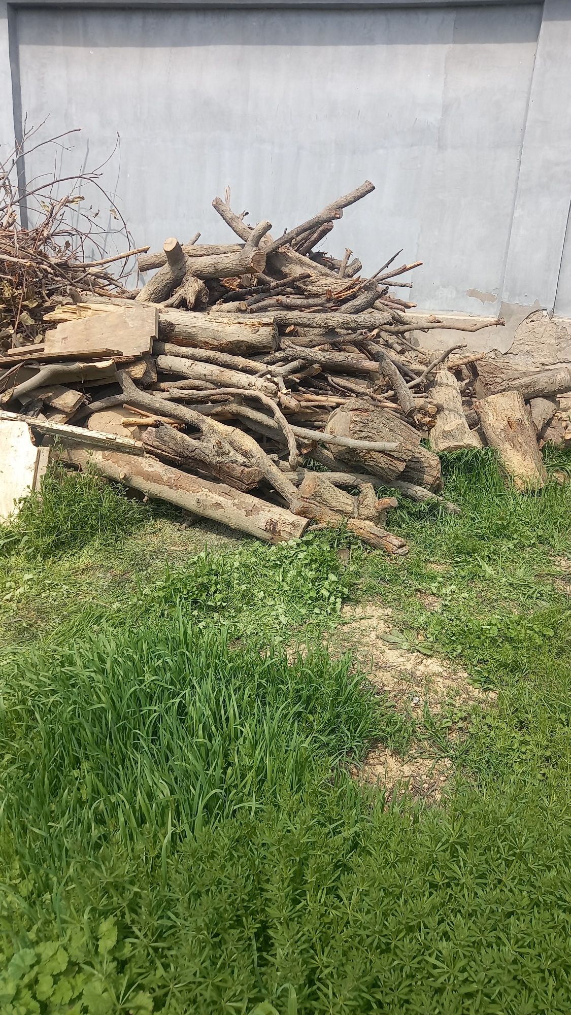 Продам дрова абрикос и орех