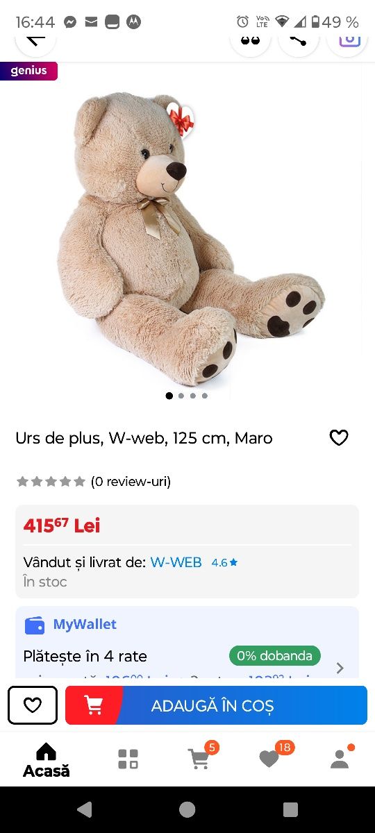 Vând Urs nou-nouț oferta limitata