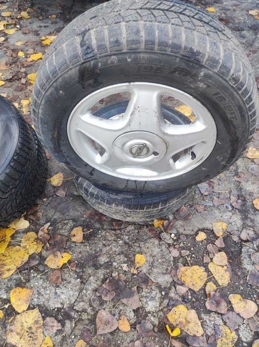 roti iarna 195/65R15