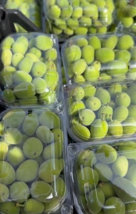 Довча свежий ва музлатилган