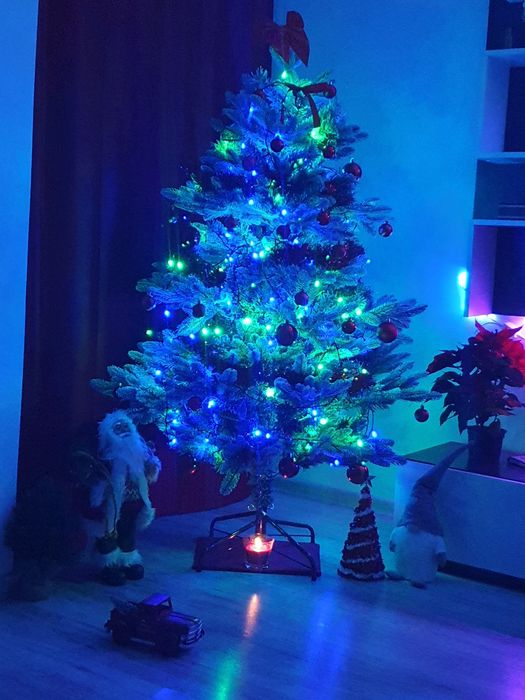 Brad dimensiune medie