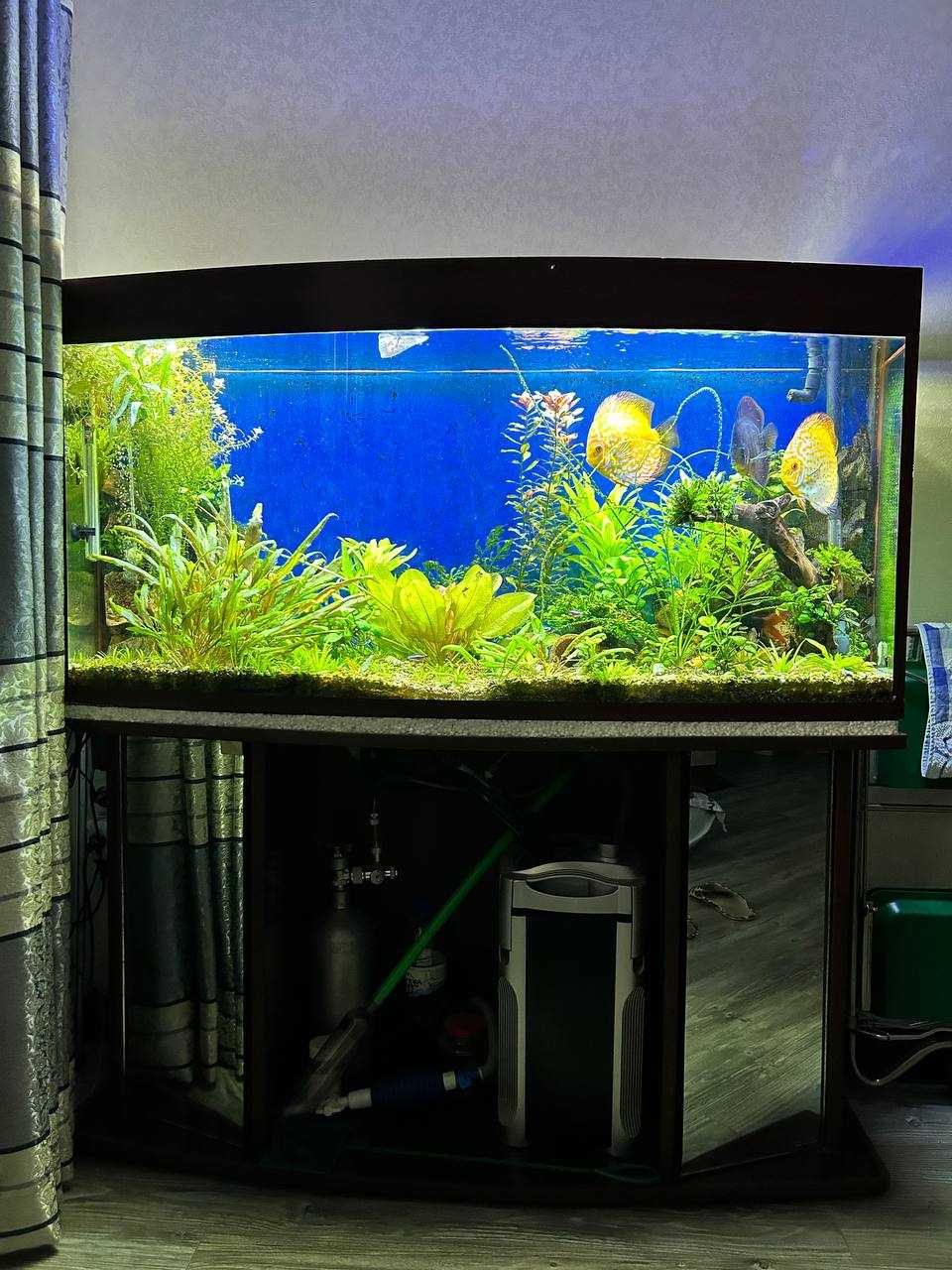 Чистка аквариум Аqua life