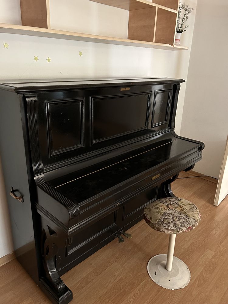 Pianina stare excepțională