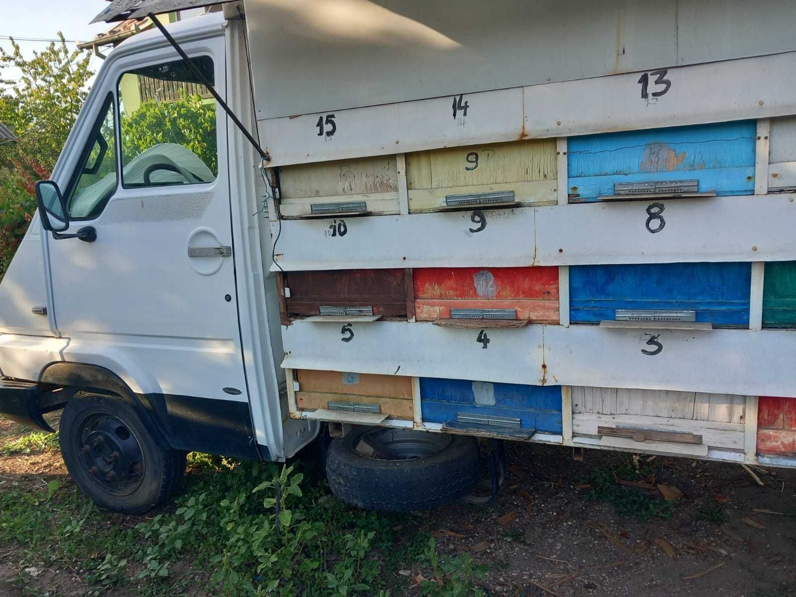 Camion apicol omologat 3,5t
