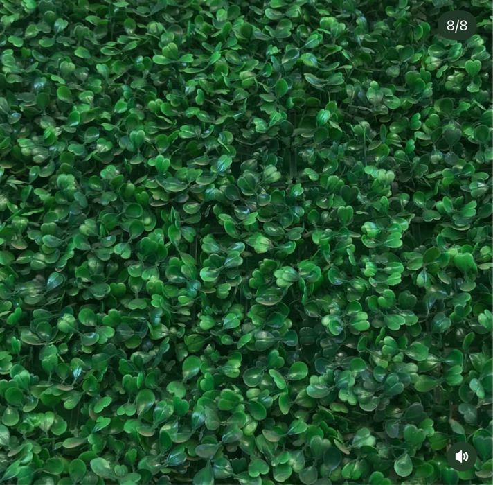 Самшит Искусственный