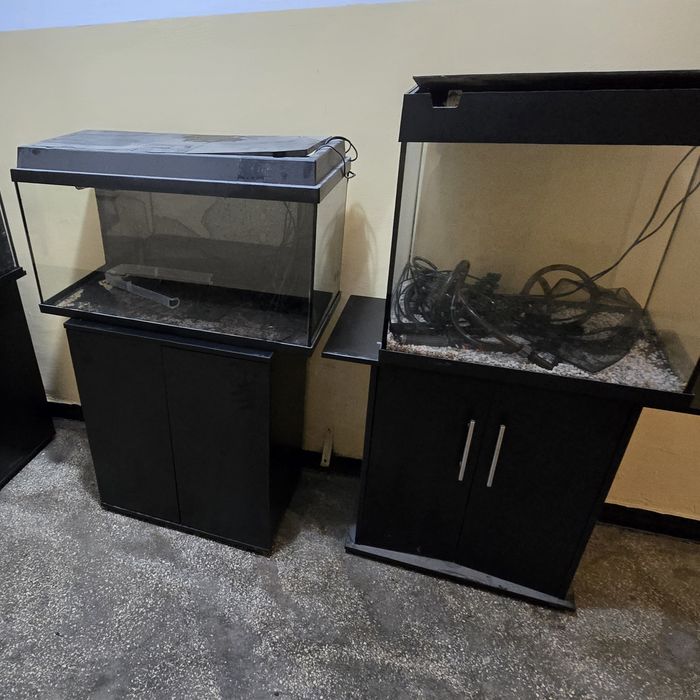 Acvarii Juwel pachet  oferta