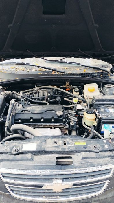 Lasetti 2013 arenda/naxt