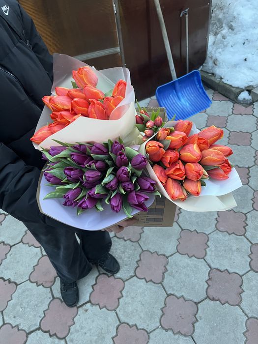 Тюльпаны , опт и розница 40 и 60 см