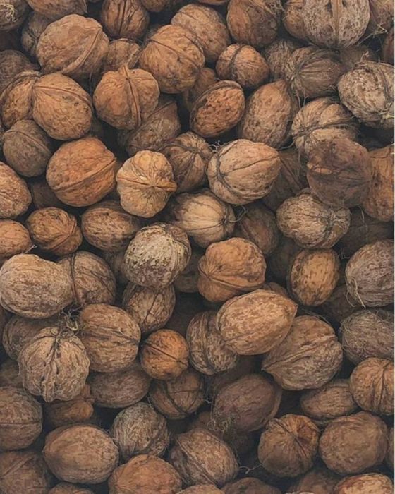 Nuci in coaja Pascani