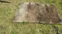 Vand blana mistret obiect decorativ