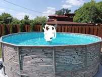 Piscina 4.88 m diametru , 1.22 m inaltime