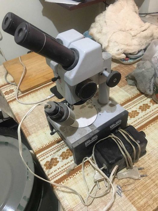 Бинокулярный микроскоп