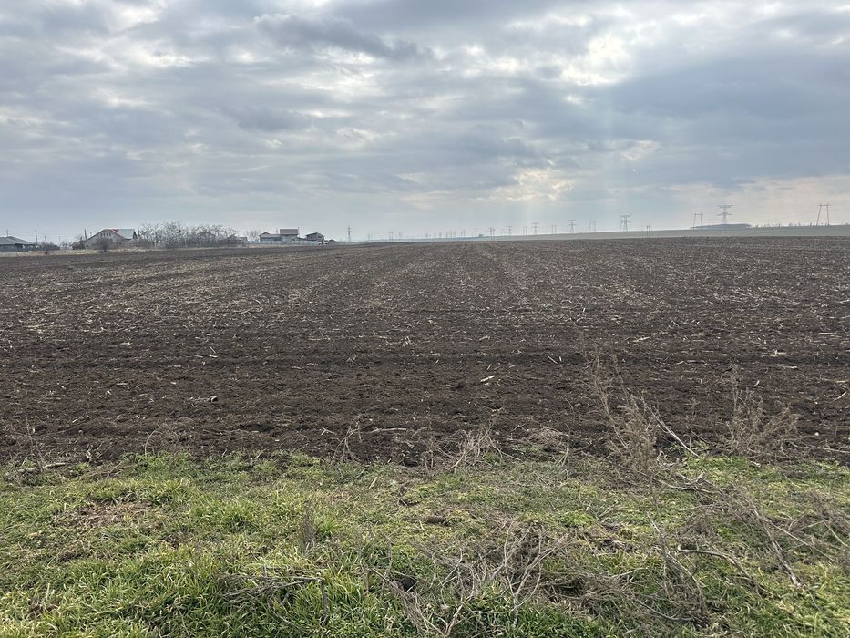 Vand 15 HA TEREN AGRICOL ,Corni.jud. Galati