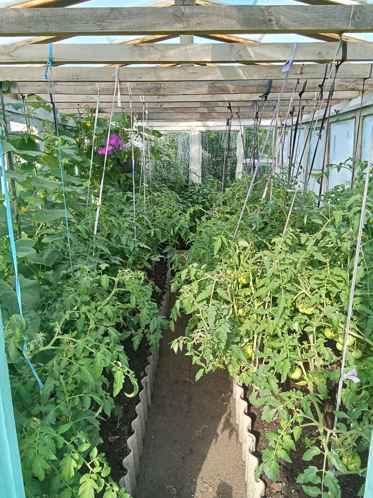 Продам дачу в 4 обществе