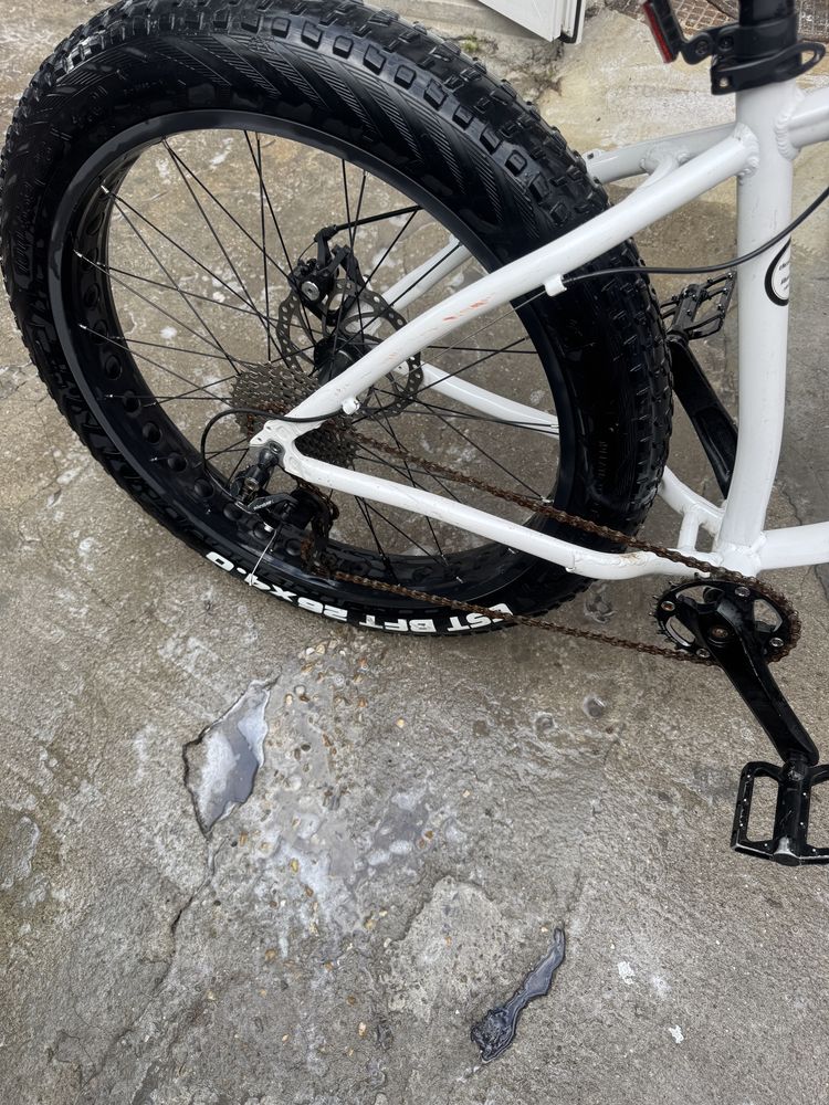 Fat Bike Pegasus