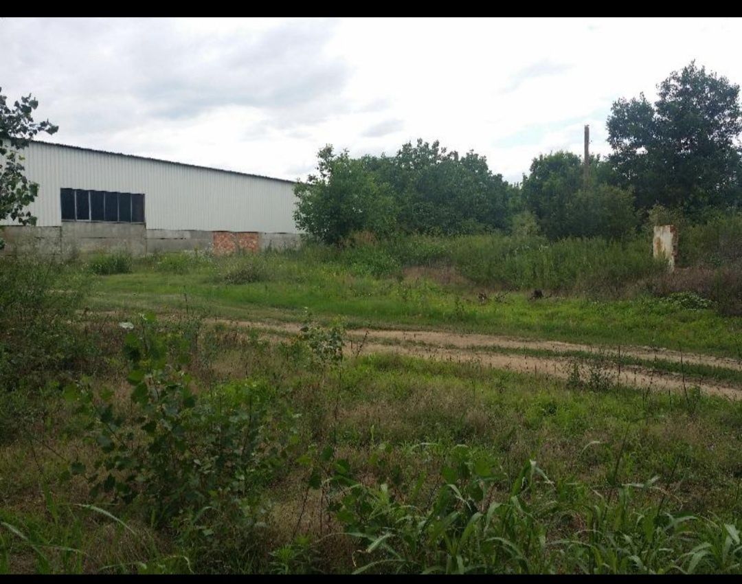 Продава се Промишлена сграда в с. Александрово, Област Ловеч - 17000 кв.м за 6 €/кв.м - Снимка #5