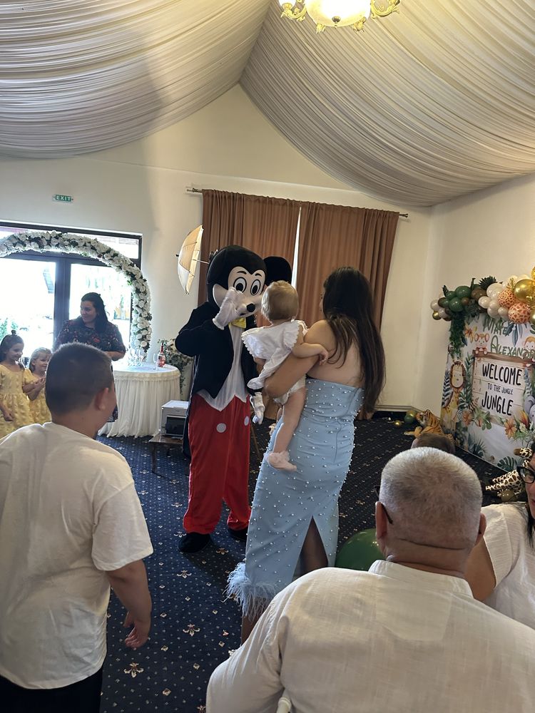 Mascote si pictura pe fata copii