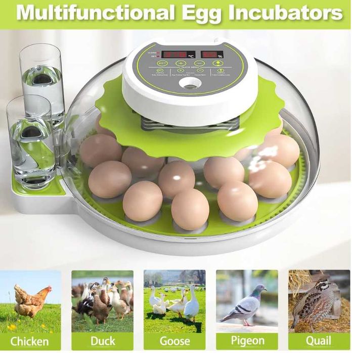 Incubator DETODDA complet automat