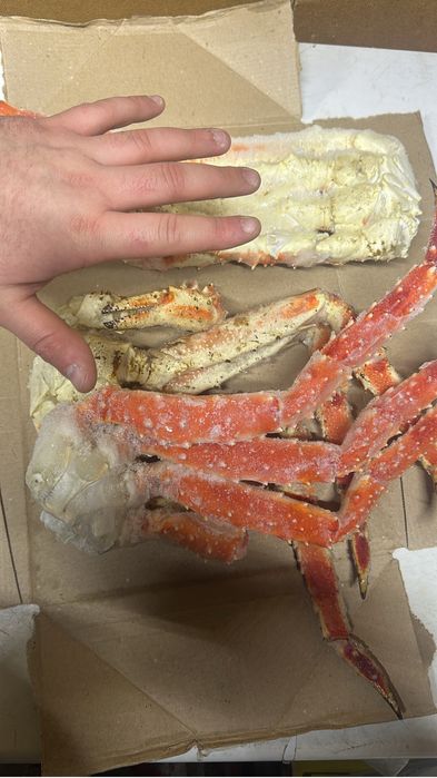 Продам краба Камчатского