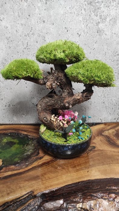 Мини Бонсай със скандинавски мъх