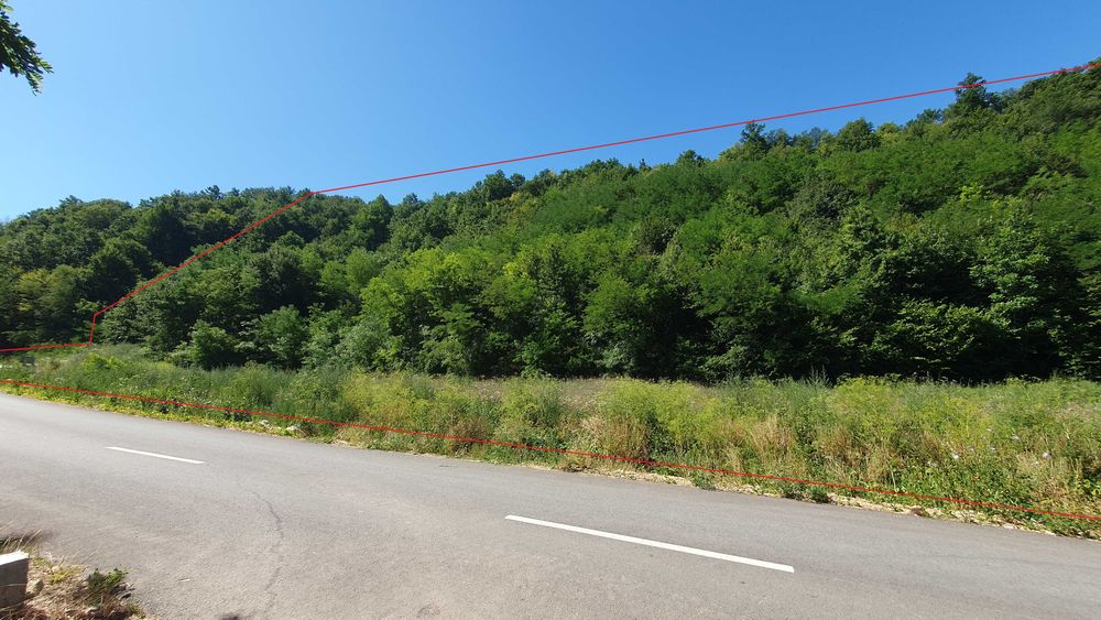 1,7 Hectare Teren Casa Vacanta Dumbravita De Codru Muntii Codru Moma
